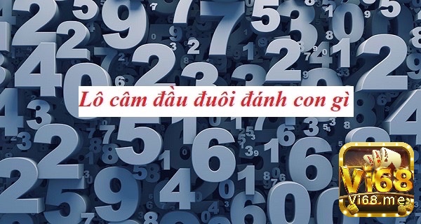 Khám phá những chiến thuật đánh lô không có số ở đầu hoặc đuôi từ các tay chơi nhé 